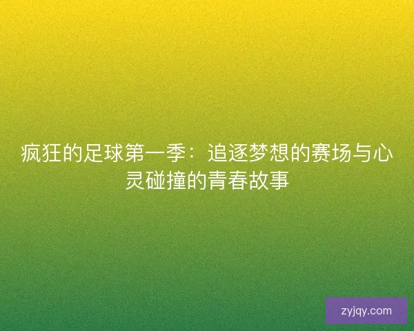 疯狂的足球第一季：追逐梦想的赛场与心灵碰撞的青春故事