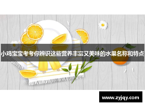 小鸡宝宝考考你辨识这些营养丰富又美味的水果名称和特点