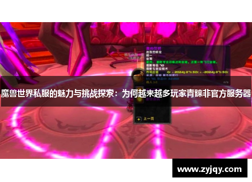 魔兽世界私服的魅力与挑战探索：为何越来越多玩家青睐非官方服务器